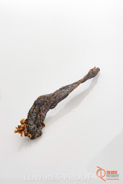 April 2016 / ROO-JERKY_008_160414