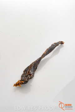 April 2016 / ROO-JERKY_010_160414