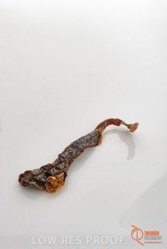 April 2016 / ROO-JERKY_011_160414