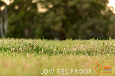 October 2017 / BACKGROUNDS_001_171018_TRP0359