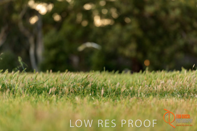 October 2017 / BACKGROUNDS_002_171018_TRP0360