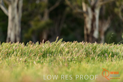 October 2017 / BACKGROUNDS_004_171018_TRP0366