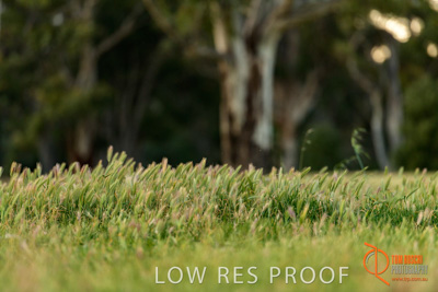 October 2017 / BACKGROUNDS_011_171018_TRP0380