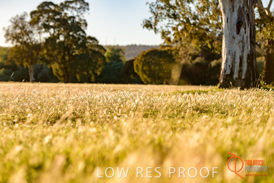 October 2017 / BACKGROUNDS_153_171018_TRP0838