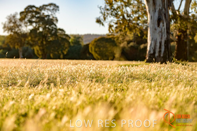 October 2017 / BACKGROUNDS_154_171018_TRP0840