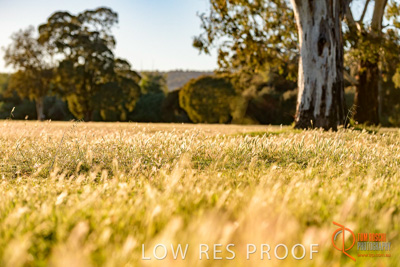 October 2017 / BACKGROUNDS_155_171018_TRP0841