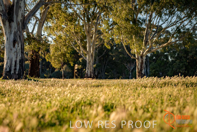 October 2017 / BACKGROUNDS_156_171018_TRP0842