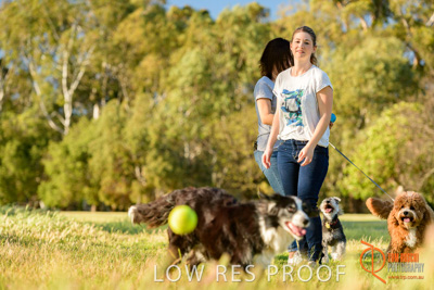 October 2017 / DOG_PLAYING_PEOPLE_294_171018_TRP1426