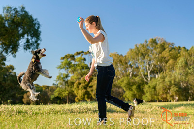 October 2017 / DOG_PLAYING_PEOPLE_322_171018_TRP1570