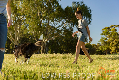 October 2017 / DOG_PLAYING_PEOPLE_406_171018_TRP2436