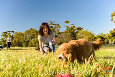 October 2017 / DOG_PLAYING_PEOPLE_419_171018_TRP2491