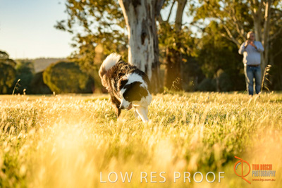 October 2017 / DOG_RUNNING_073_171018_TRP0601