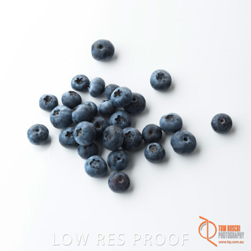 December 2017 / BLUEBERRY_054_171206