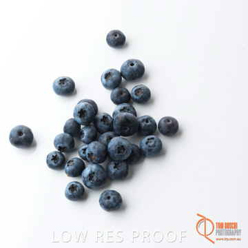 December 2017 / BLUEBERRY_056_171206