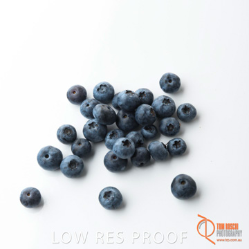 December 2017 / BLUEBERRY_058_171206