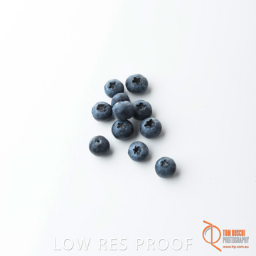 December 2017 / BLUEBERRY_059_171206