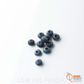 December 2017 / BLUEBERRY_060_171206