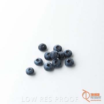 December 2017 / BLUEBERRY_061_171206