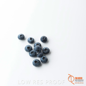 December 2017 / BLUEBERRY_062_171206