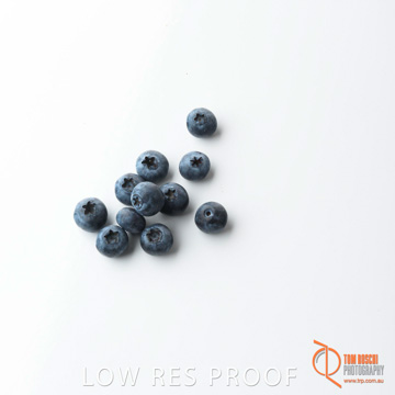December 2017 / BLUEBERRY_063_171206