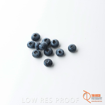 December 2017 / BLUEBERRY_064_171206