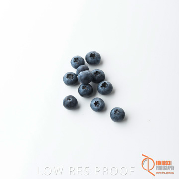 December 2017 / BLUEBERRY_065_171206