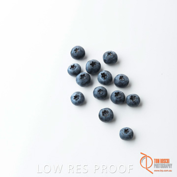 December 2017 / BLUEBERRY_066_171206