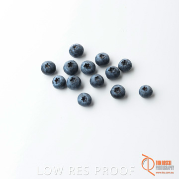 December 2017 / BLUEBERRY_067_171206