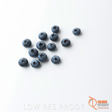 December 2017 / BLUEBERRY_068_171206