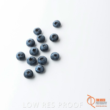 December 2017 / BLUEBERRY_069_171206