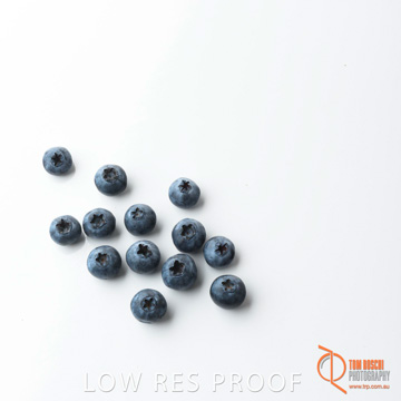 December 2017 / BLUEBERRY_070_171206