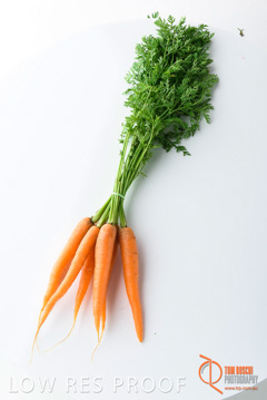 December 2017 / CARROTS_102_171206