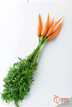 December 2017 / CARROTS_108_171206