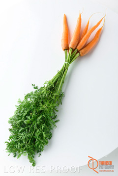 December 2017 / CARROTS_109_171206