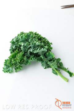 December 2017 / KALE_094_171206