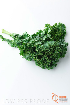 December 2017 / KALE_098_171206