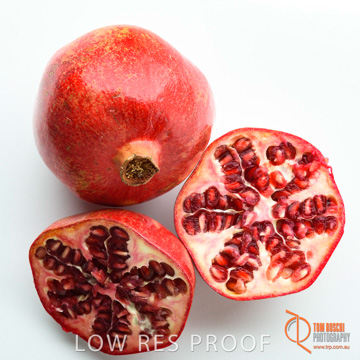 December 2017 / POMMYGRANITS_041_171206