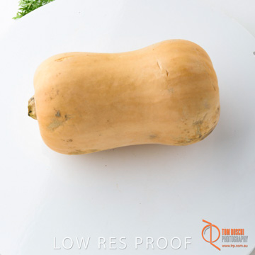 December 2017 / PUMPKIN_141_171206