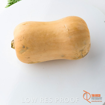 December 2017 / PUMPKIN_142_171206