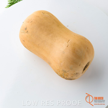 December 2017 / PUMPKIN_143_171206