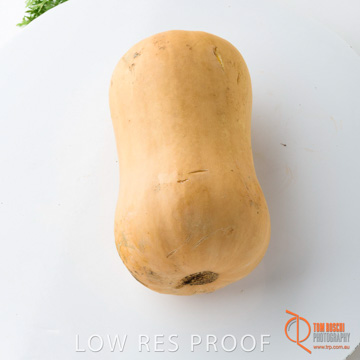 December 2017 / PUMPKIN_144_171206