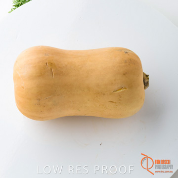 December 2017 / PUMPKIN_146_171206