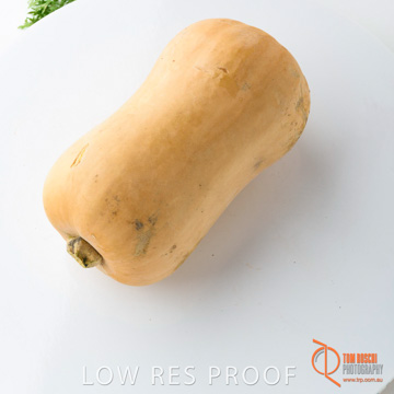 December 2017 / PUMPKIN_149_171206