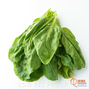 December 2017 / SPINACH_079_171206