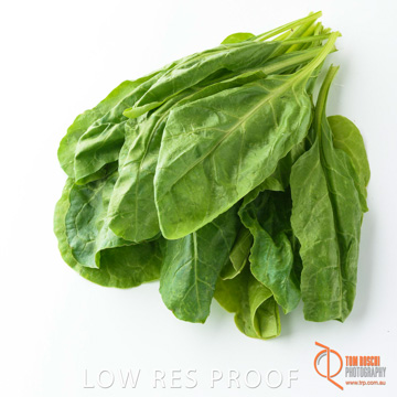 December 2017 / SPINACH_080_171206