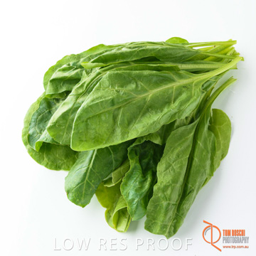 December 2017 / SPINACH_081_171206