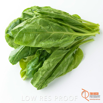 December 2017 / SPINACH_082_171206