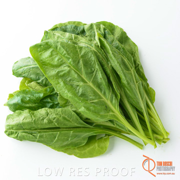 December 2017 / SPINACH_083_171206