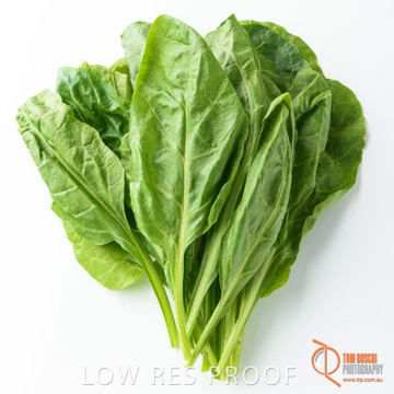 December 2017 / SPINACH_084_171206