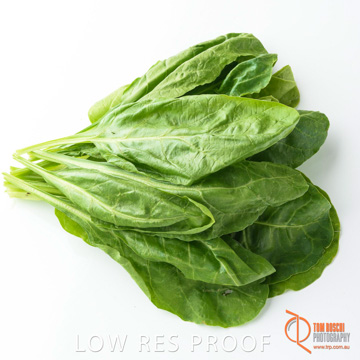 December 2017 / SPINACH_087_171206